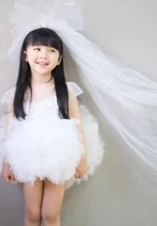 Alice of Wonderland Party and Flower Girl Dress