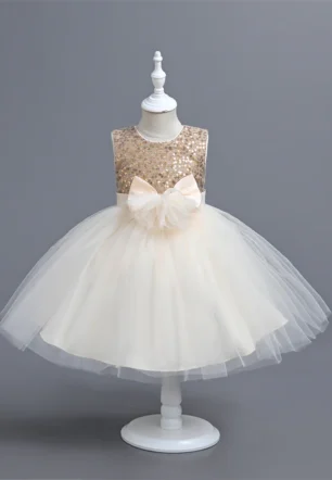 Fluffy Princess Party and Flower Girl Dress