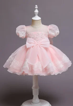 Lace Princess Party and Flower Girl Dress