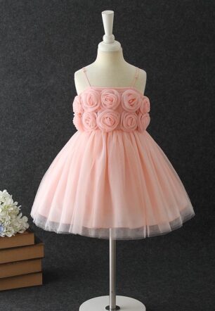 Princess Rose Party and Flower Girl Dress