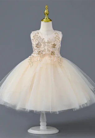 Shiney Flavy Party and Flower Girl Dress